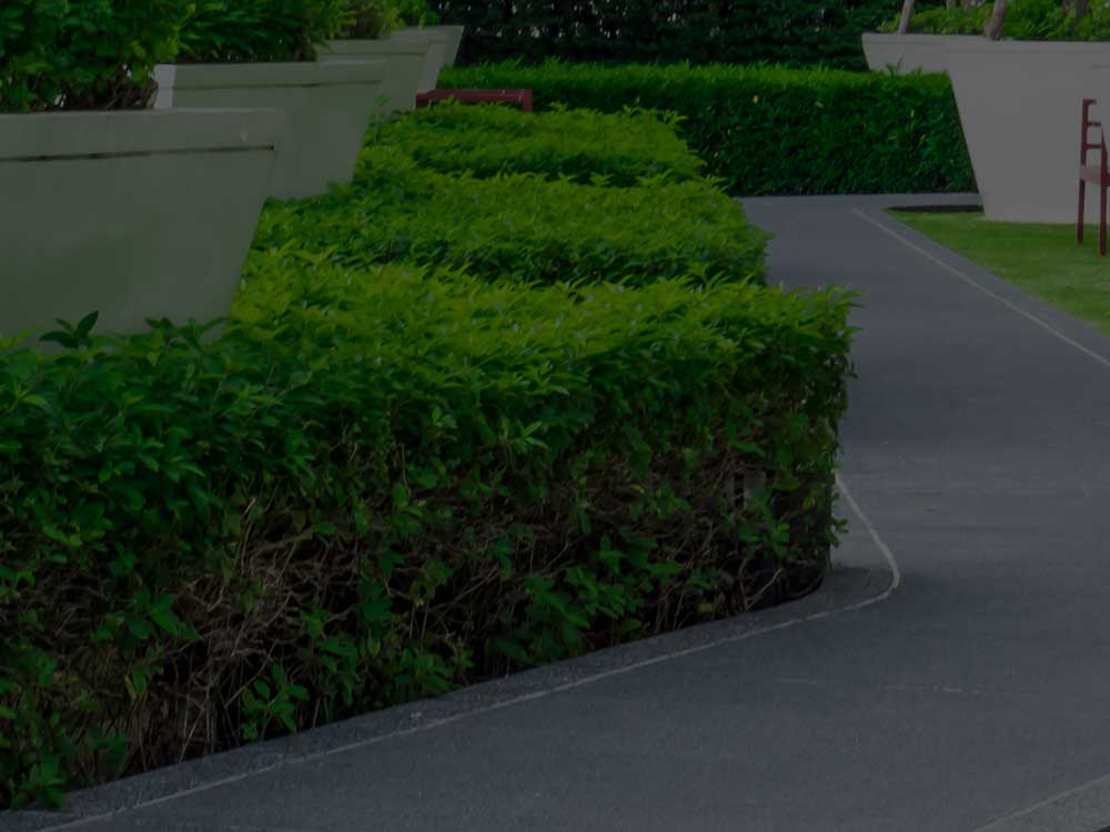 Okemos Commercial Landscaping